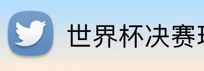 世界杯决赛球队 logo